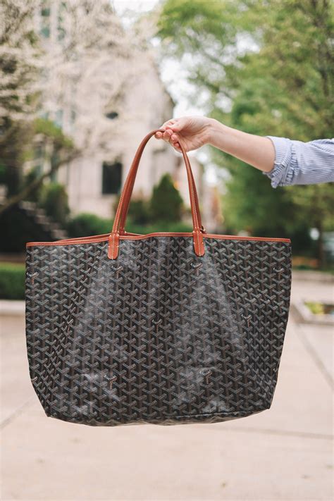 louis vuitton goyard.